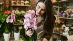 Exploring the Profitable Orchid Breeding Industry